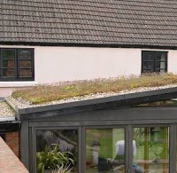 Green Roof Systems 239797 Image 4